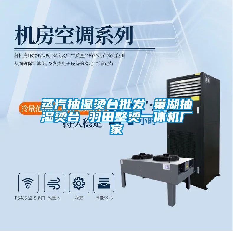 蒸汽抽濕燙臺批發 巢湖抽濕燙臺 羽田整燙一體機廠家