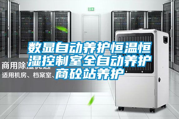 數(shù)顯自動養(yǎng)護恒溫恒濕控制室全自動養(yǎng)護商砼站養(yǎng)護