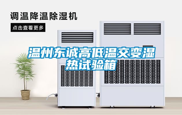 溫州東誠高低溫交變濕熱試驗箱