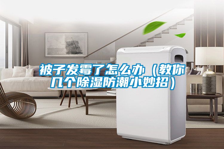 被子發霉了怎么辦（教你幾個除濕防潮小妙招）