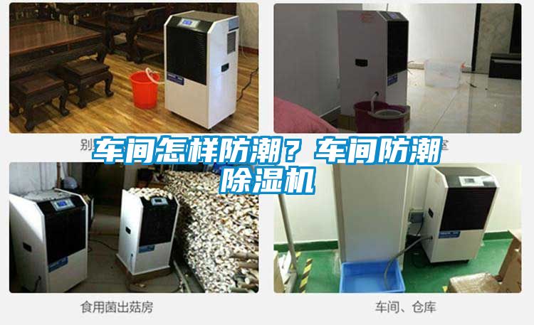 車間怎樣防潮？車間防潮除濕機