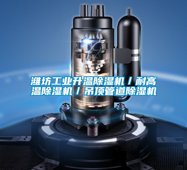 濰坊工業升溫除濕機／耐高溫除濕機／吊頂管道除濕機