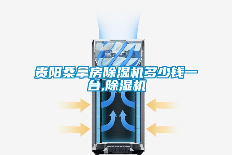 貴陽桑拿房除濕機多少錢一臺,除濕機