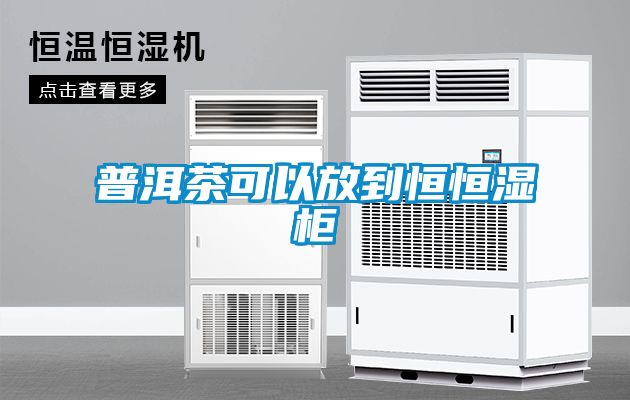 普洱茶可以放到恒恒濕柜