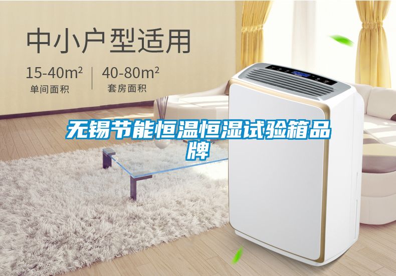 無錫節能恒溫恒濕試驗箱品牌