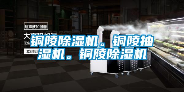 銅陵除濕機。銅陵抽濕機。銅陵除濕機