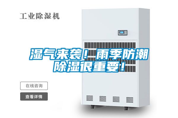濕氣來襲！雨季防潮除濕很重要！