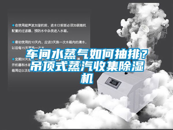 車間水蒸氣如何抽排？吊頂式蒸汽收集除濕機