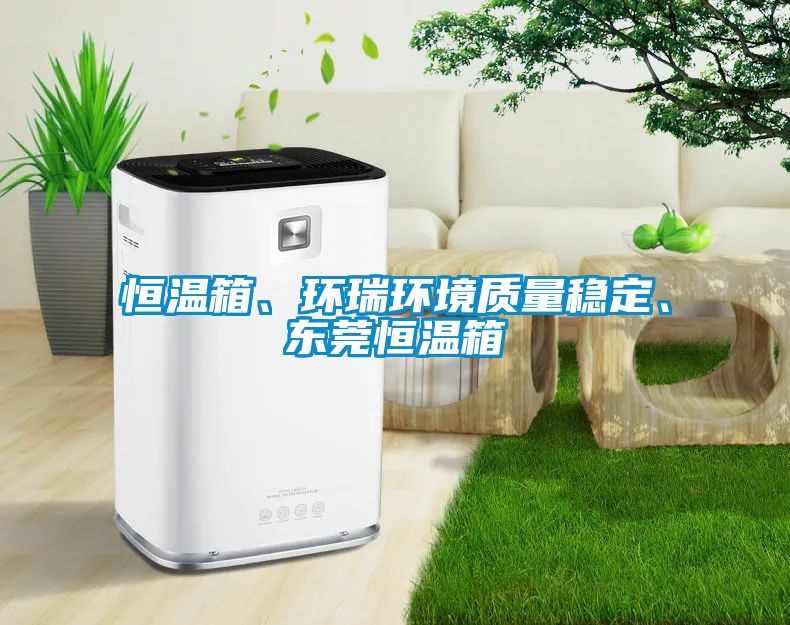 恒溫箱、環瑞環境質量穩定、東莞恒溫箱
