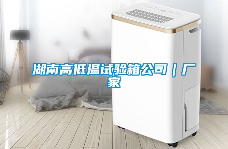 湖南高低溫試驗箱公司｜廠家