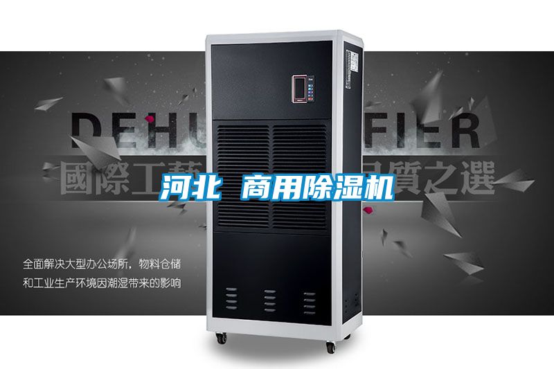 河北 商用除濕機