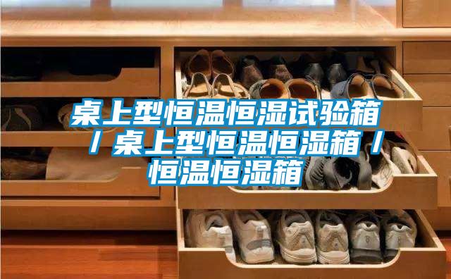 桌上型恒溫恒濕試驗箱／桌上型恒溫恒濕箱／恒溫恒濕箱