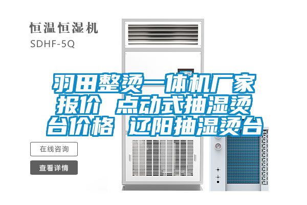 羽田整燙一體機(jī)廠家報(bào)價(jià) 點(diǎn)動(dòng)式抽濕燙臺(tái)價(jià)格 遼陽抽濕燙臺(tái)