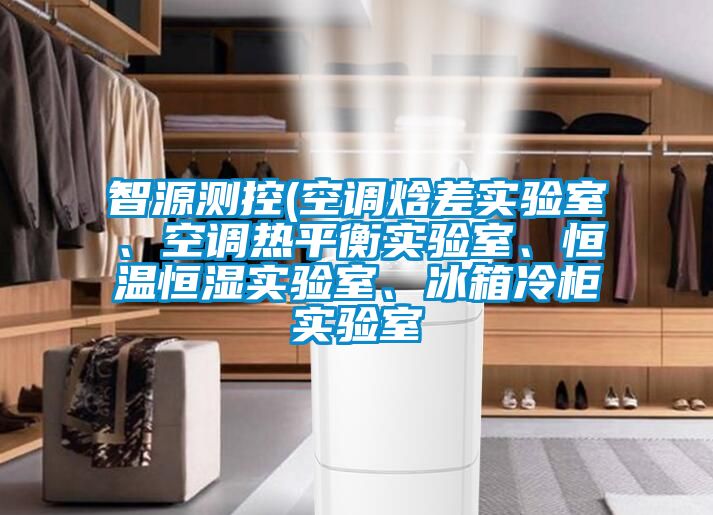 智源測(cè)控(空調(diào)焓差實(shí)驗(yàn)室、空調(diào)熱平衡實(shí)驗(yàn)室、恒溫恒濕實(shí)驗(yàn)室、冰箱冷柜實(shí)驗(yàn)室