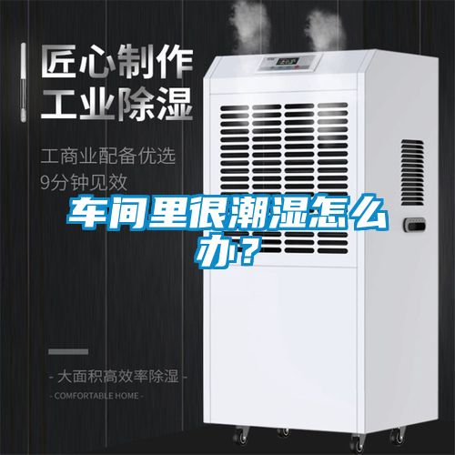 車間里很潮濕怎么辦？