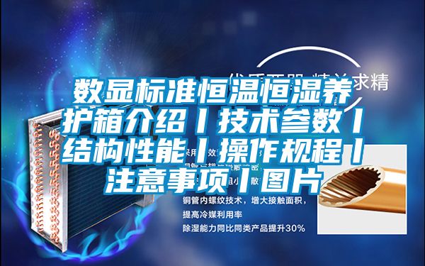 數顯標準恒溫恒濕養護箱介紹丨技術參數丨結構性能丨操作規程丨注意事項丨圖片