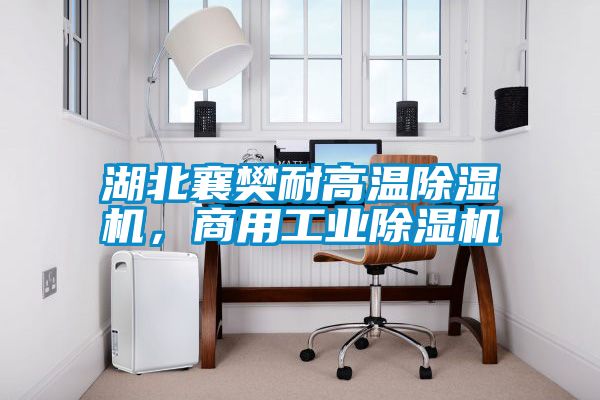 湖北襄樊耐高溫除濕機，商用工業除濕機