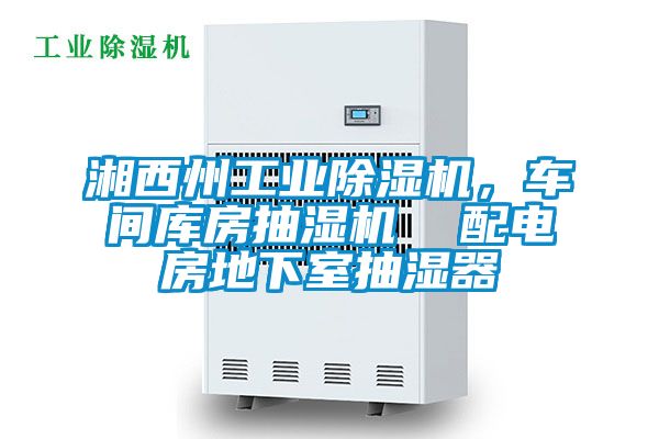 湘西州工業除濕機，車間庫房抽濕機  配電房地下室抽濕器