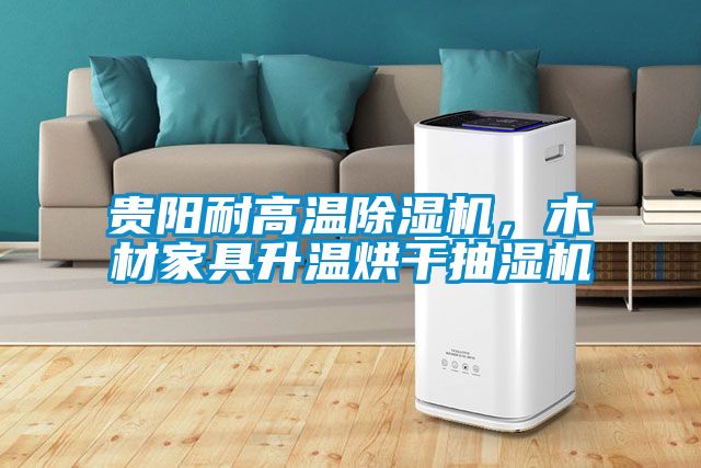 貴陽耐高溫除濕機，木材家具升溫烘干抽濕機