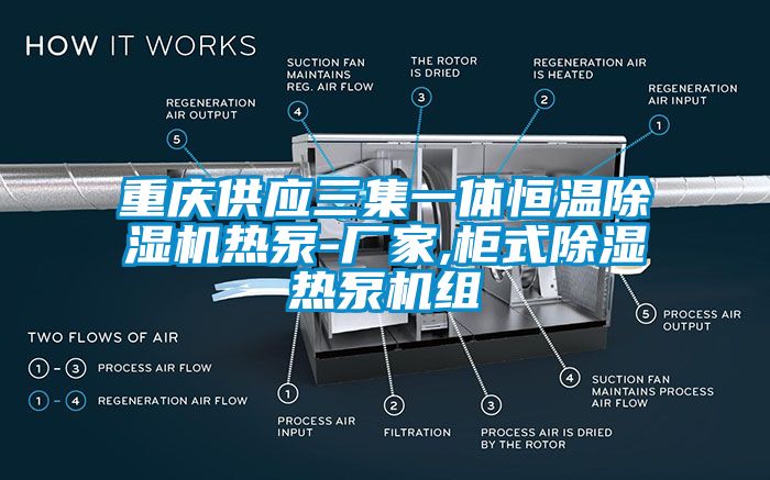 重慶供應(yīng)三集一體恒溫除濕機(jī)熱泵-廠家,柜式除濕熱泵機(jī)組