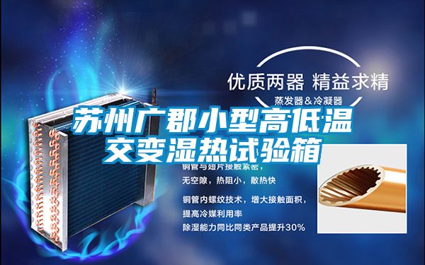 蘇州廣郡小型高低溫交變濕熱試驗箱