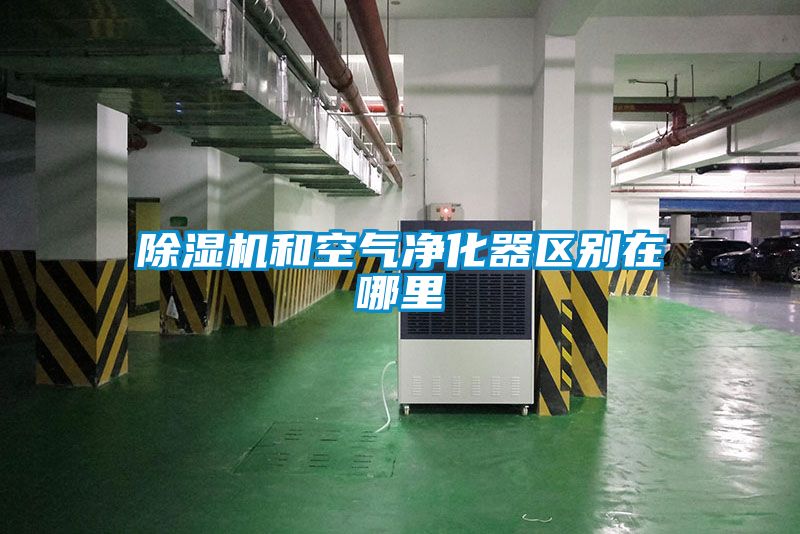 除濕機和空氣凈化器區別在哪里