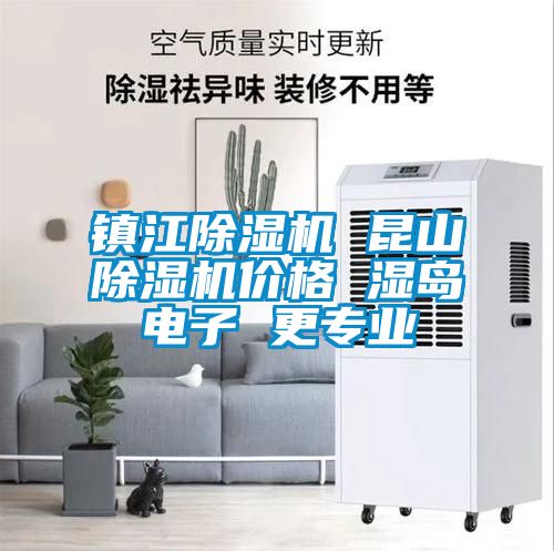 鎮(zhèn)江除濕機(jī) 昆山除濕機(jī)價格 濕島電子 更專業(yè)