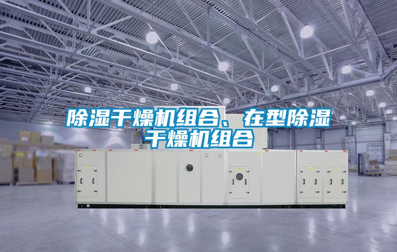 除濕干燥機組合、在型除濕干燥機組合