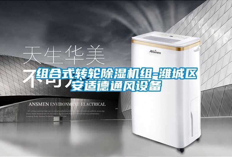 組合式轉輪除濕機組-濰城區安適德通風設備