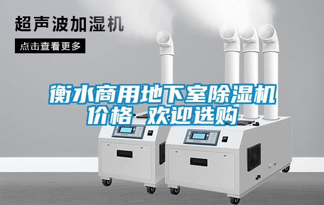 衡水商用地下室除濕機(jī)價格 歡迎選購