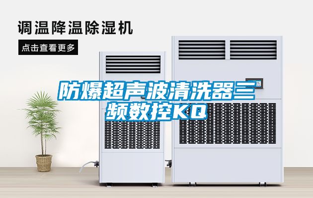 防爆超聲波清洗器三頻數(shù)控KQ