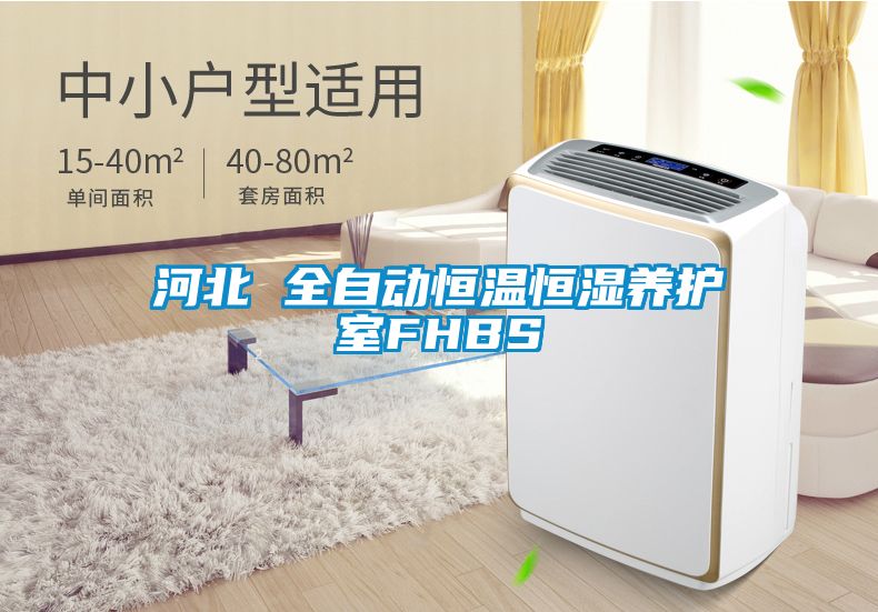 河北 全自動恒溫恒濕養護室FHBS