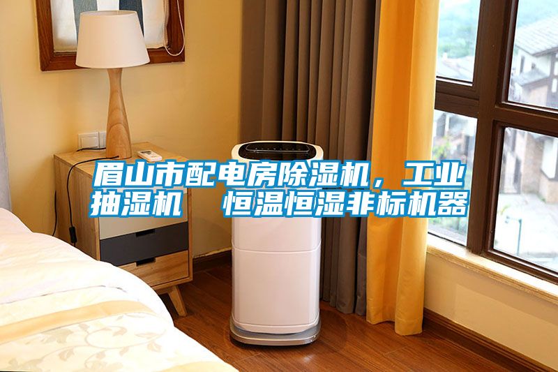 眉山市配電房除濕機，工業抽濕機  恒溫恒濕非標機器