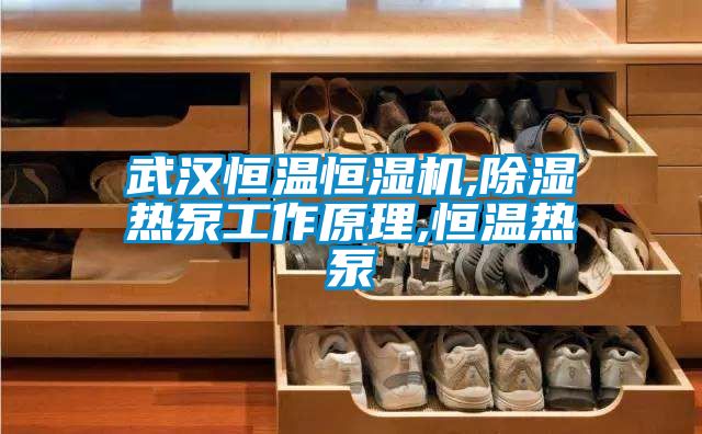 武漢恒溫恒濕機,除濕熱泵工作原理,恒溫熱泵