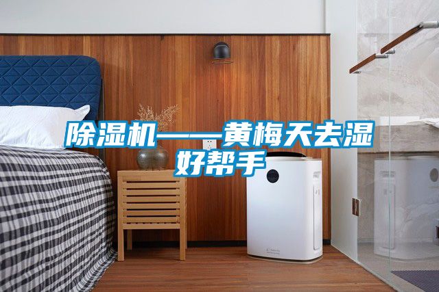 除濕機——黃梅天去濕好幫手