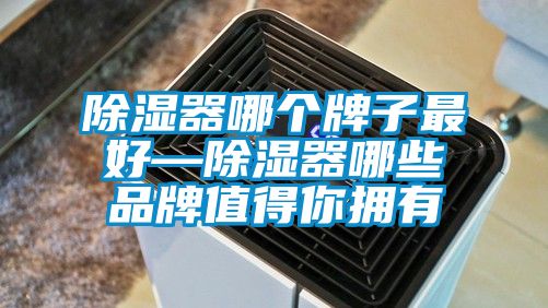 除濕器哪個牌子最好—除濕器哪些品牌值得你擁有