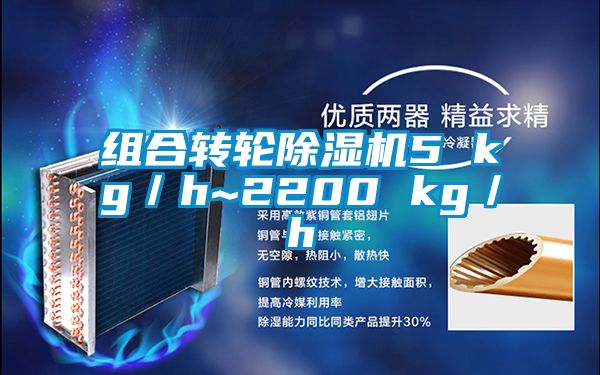 組合轉輪除濕機5 kg／h~2200 kg／h
