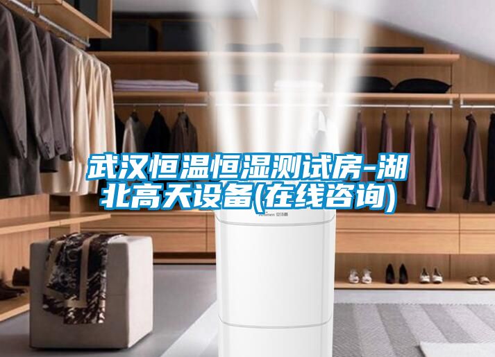 武漢恒溫恒濕測試房-湖北高天設備(在線咨詢)