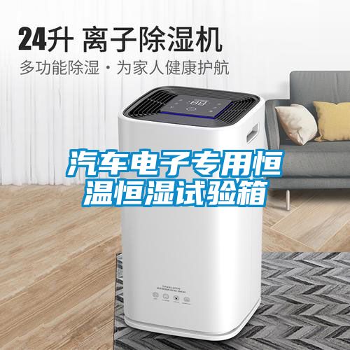 汽車電子專用恒溫恒濕試驗箱