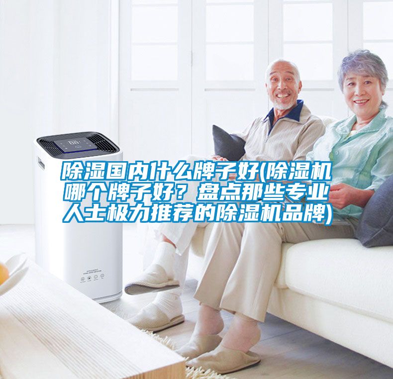 除濕國內什么牌子好(除濕機哪個牌子好？盤點那些專業人士極力推薦的除濕機品牌)
