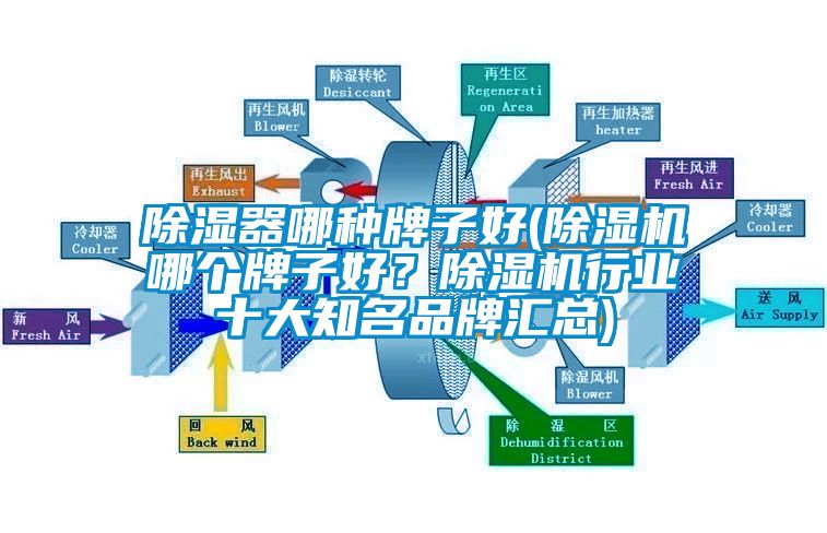 除濕器哪種牌子好(除濕機哪個牌子好？除濕機行業十大知名品牌匯總)