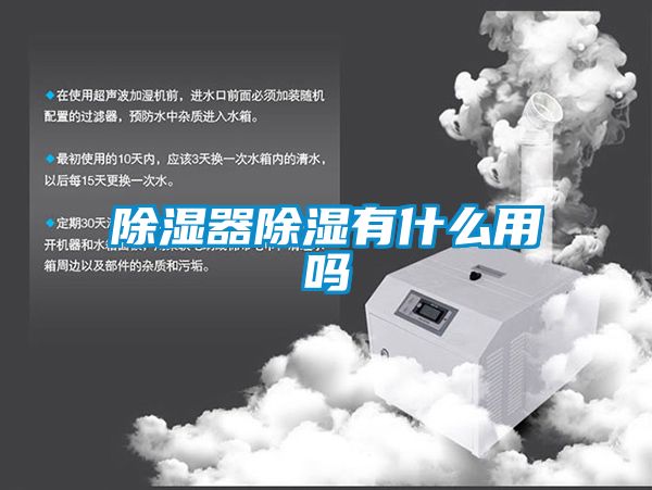 除濕器除濕有什么用嗎