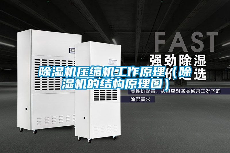 除濕機壓縮機工作原理（除濕機的結構原理圖）