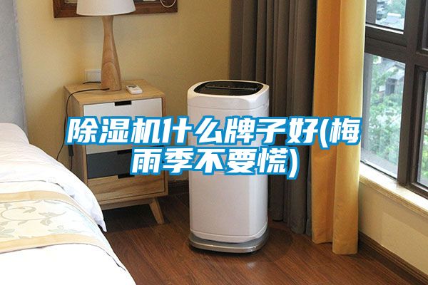 除濕機什么牌子好(梅雨季不要慌)