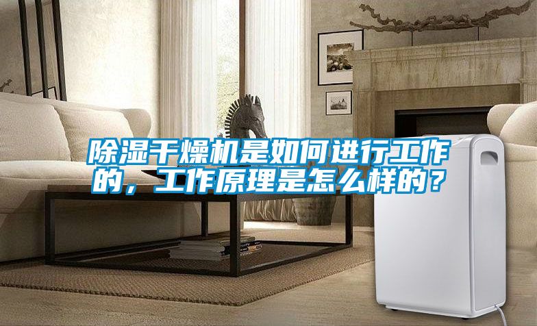除濕干燥機是如何進行工作的，工作原理是怎么樣的？