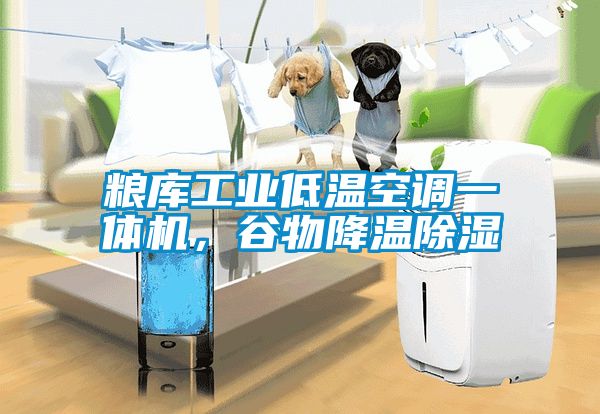 糧庫工業低溫空調一體機，谷物降溫除濕