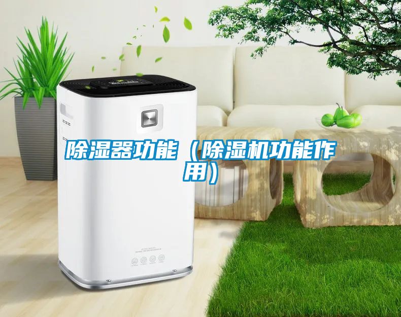 除濕器功能（除濕機(jī)功能作用）