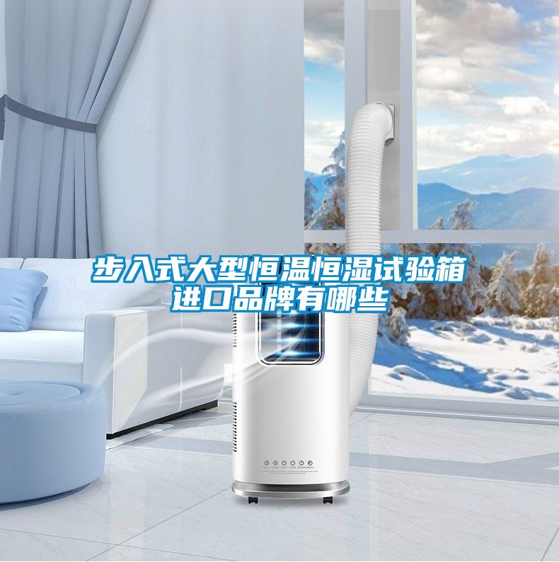 步入式大型恒溫恒濕試驗箱進口品牌有哪些