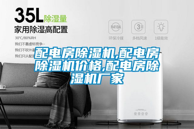 配電房除濕機,配電房除濕機價格,配電房除濕機廠家