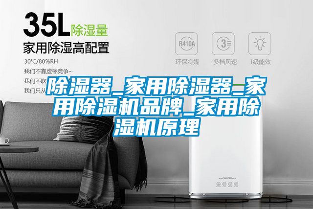 除濕器_家用除濕器_家用除濕機品牌_家用除濕機原理